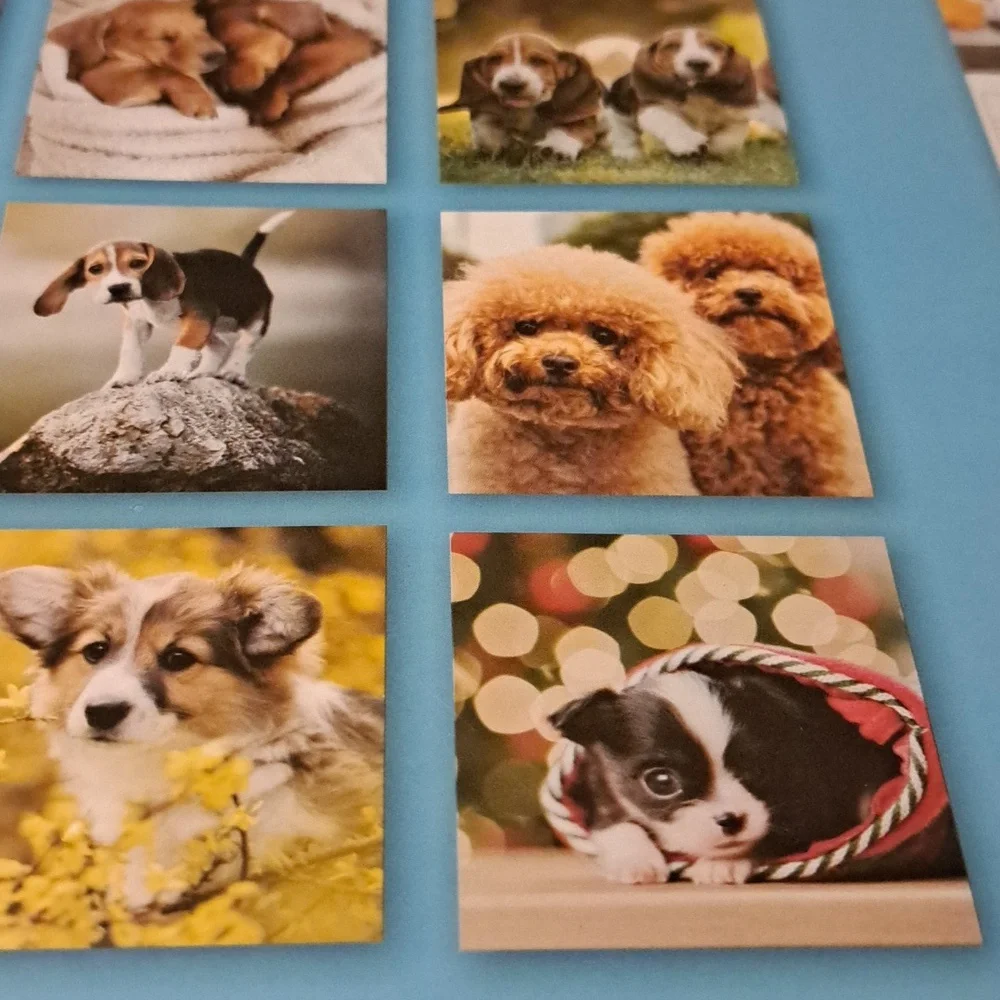 Puppy 2025 calendar/ BUNDLE ONLY 2or more items